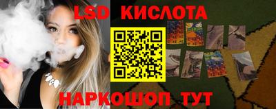 Альфа ПВП Кингисепп
