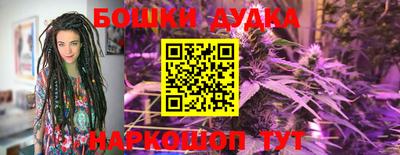 Альфа ПВП Кимры