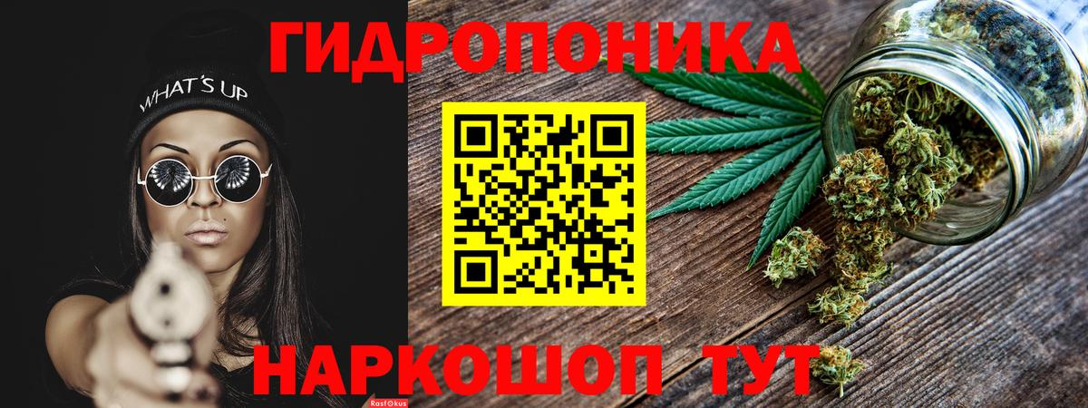 Бошки марихуана марихуана  Вход с VPN  Кизилюрт  Марихуана семена  Марихуана индика 
